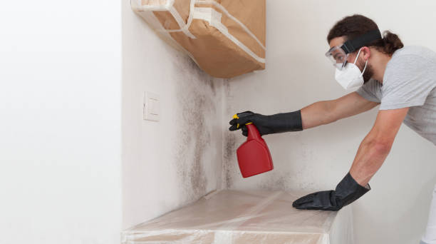 Professional Commercial Mold Remediation technician working in Hauppauge, NY